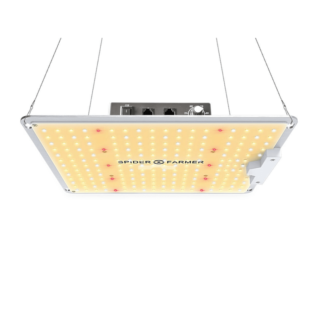 Buy Spider Farmer SF1000 LED Grow Light - In Stock - Low Price Guarantee - Blooming Flora